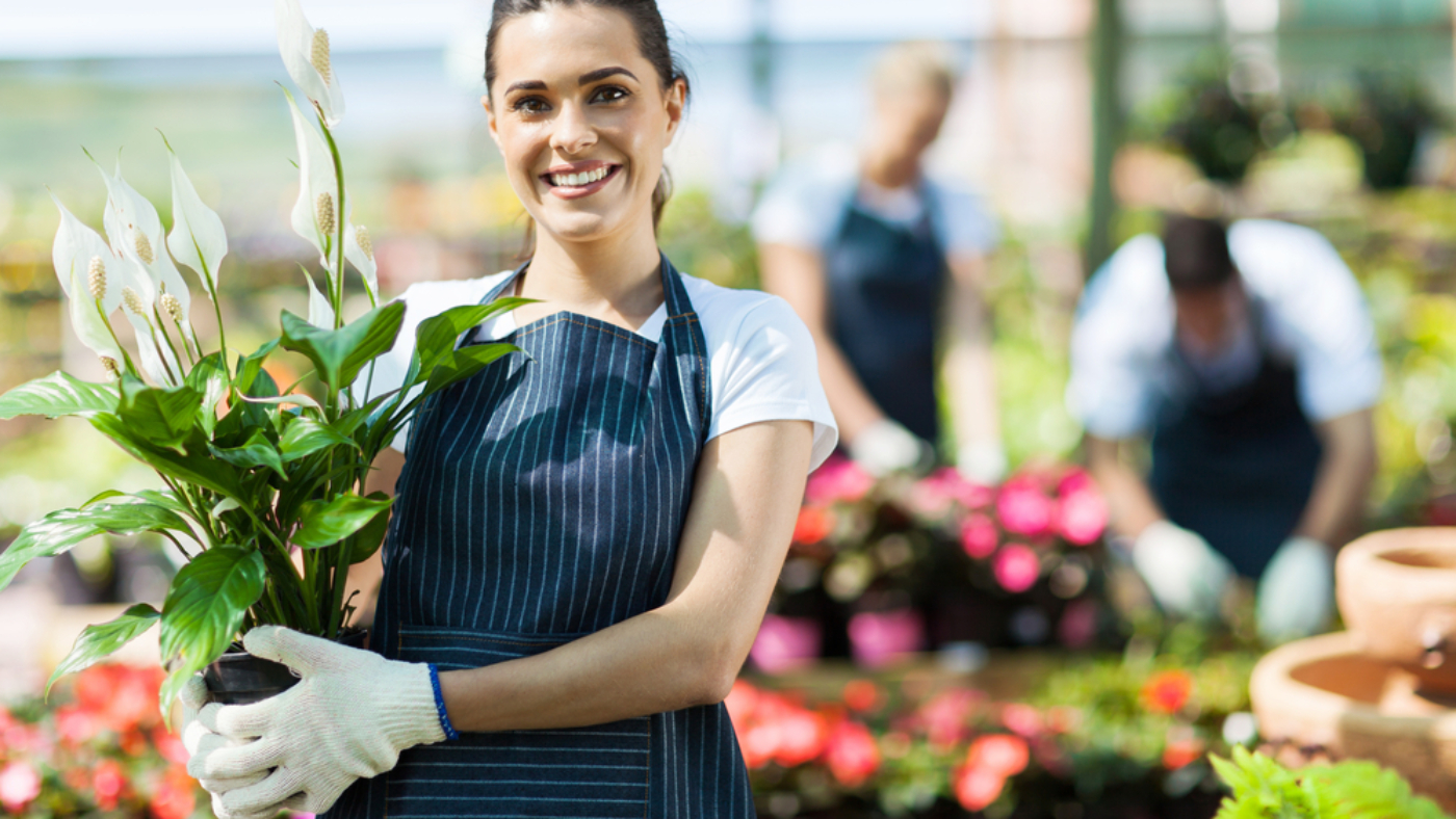 Small Business Insurance and Why You Need It