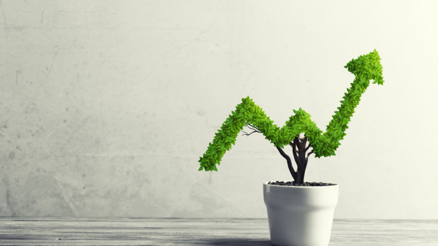 Why Leaving Emotions Out of Your Investment Process is Key